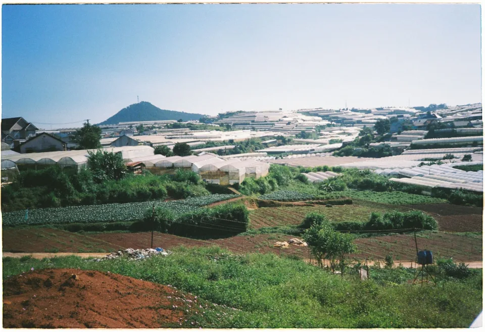 Khu sơ chế và cân hàng